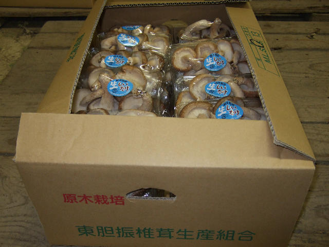 北海道産原木生椎茸（中級品）3000g - 北上しいたけ園