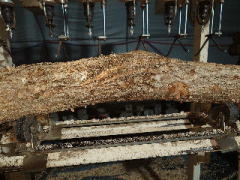 ���󂯋@�ɏ悹��ꂽ�茴��