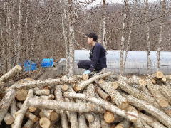 ���؂̎R��o���Ă鉙���q