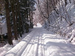 �Z�܂����ʂ̐�